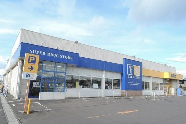 ドラックストア　薬王堂新井田店（ドラッグストア）まで1100m