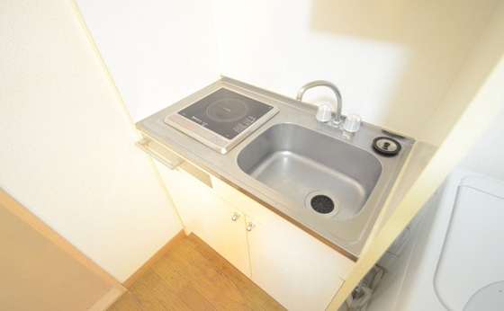 キッチン　※別号室の写真です