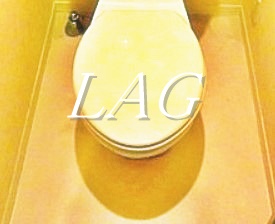 トイレ　トイレです。