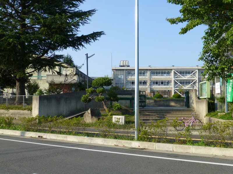 小学校　山の辺小学校（小学校）まで388m