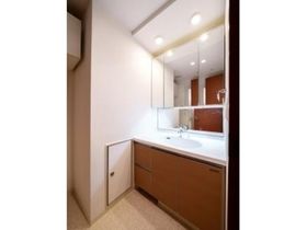 洗面設備　スペースが確保できる洗面所です