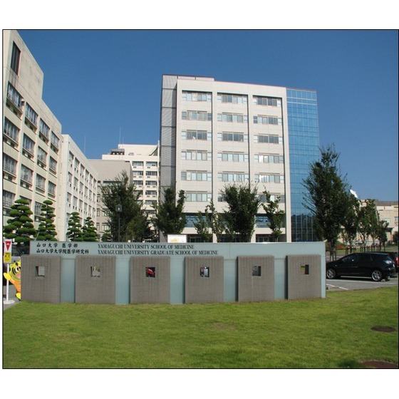 大学・短大　山口大学医学部病院（大学・短大）まで500m