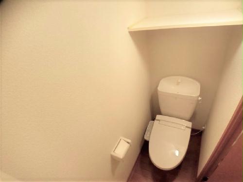 トイレ　設備仕様は号室により異なる為、現況を優先します。