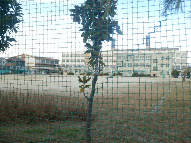 小学校　名古屋市立浦里小学校（小学校）まで1074m