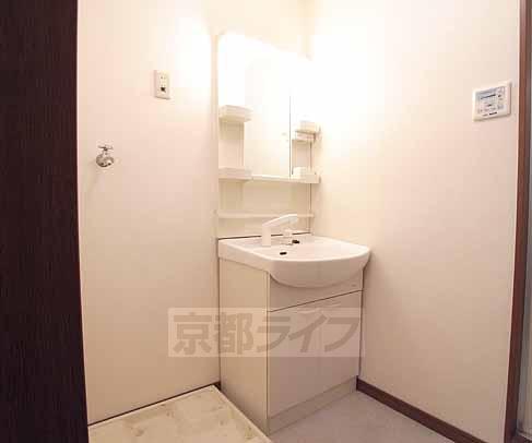 その他設備　シャンプードレッサ付きの独立洗面台です。