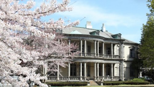 大学・短大　私立清泉女子大学（大学・短大）まで873m