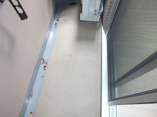 バルコニー　（別タイプ参考写真）亀十レジデンス　豊島区南大塚1