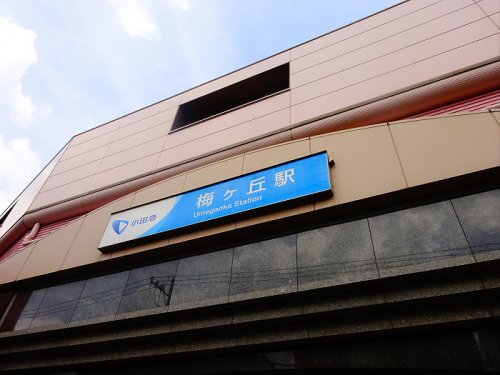 その他　梅ヶ丘駅（その他）まで995m