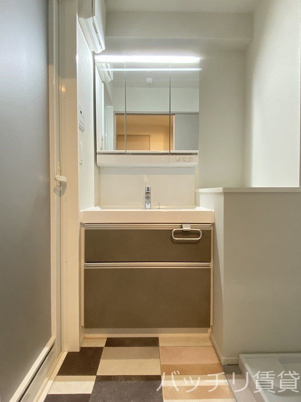 洗面設備　同型タイプの為現状優先