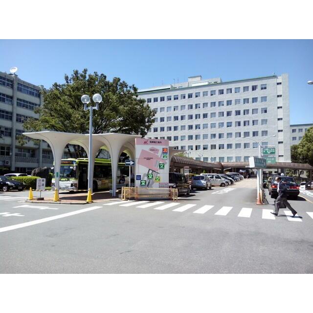 その他　日本大学医学部附属板橋病院（その他）まで613m