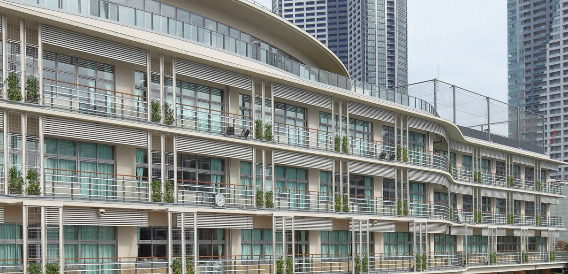 小学校　中央区立豊海小学校（小学校）まで376m