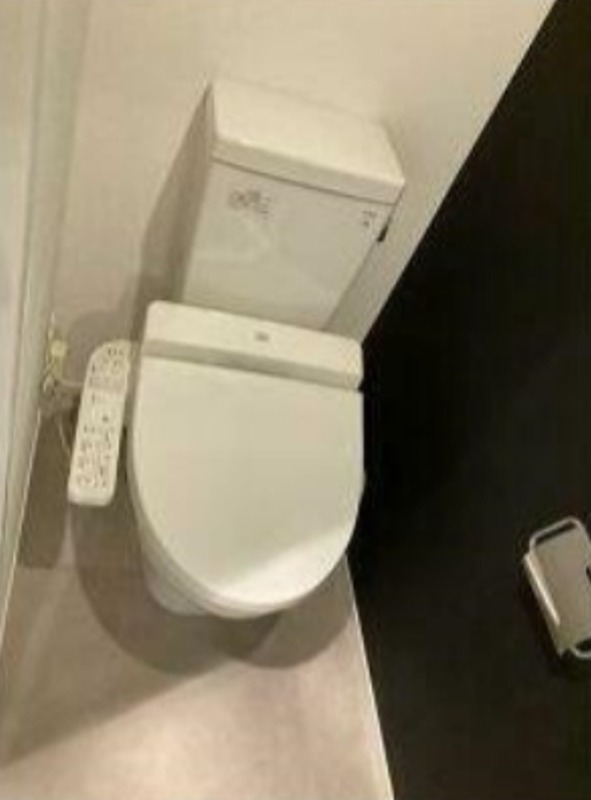 トイレ　同仕様写真含む