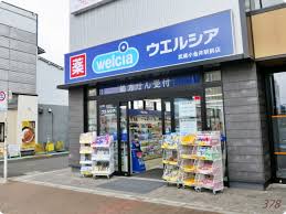 ドラックストア　ウエルシア武蔵小金井駅前店（ドラッグストア）まで229m