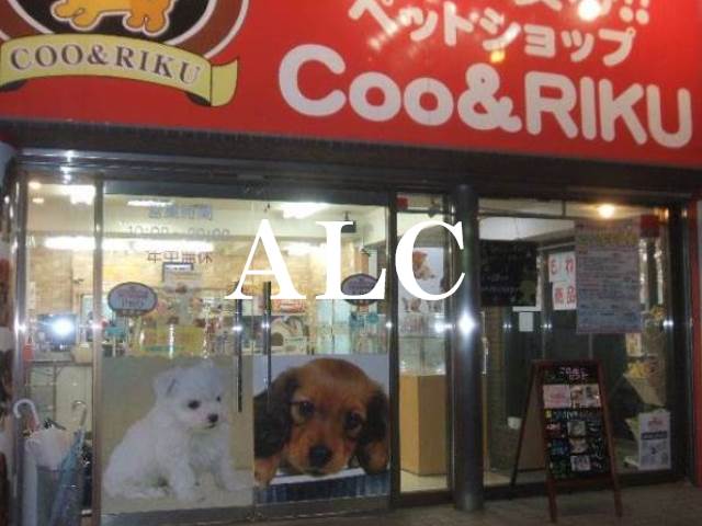 その他　COO&RIKU板橋店（その他）まで293m