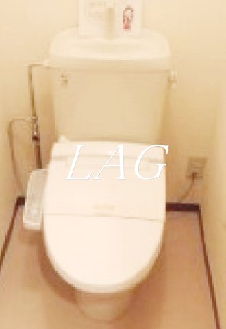 トイレ　トイレです。（同仕様です。）