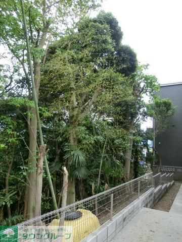庭