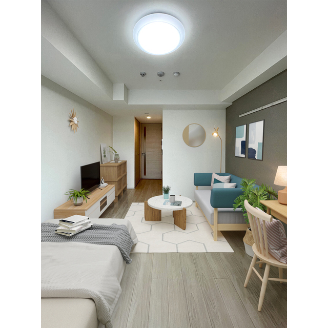 居室・リビング　家具・調度品等はＣＧ加工です。実際の賃貸住居には含まれません