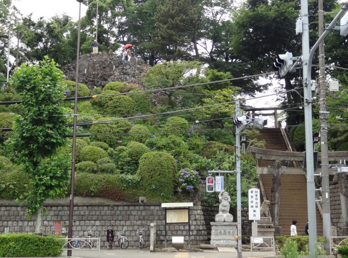 公園　品川神社（公園）まで494m