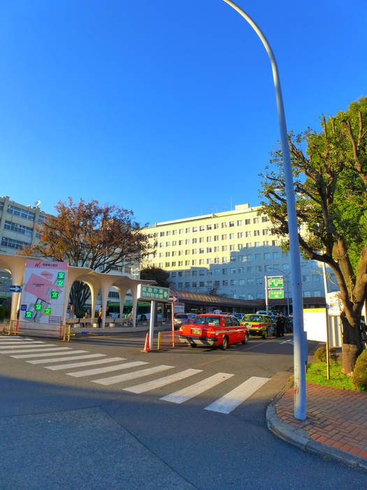 病院　日本大学医学部付属板橋病院（病院）まで470m