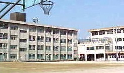 中学校　寝屋川市立中木田中学校（中学校）まで873m