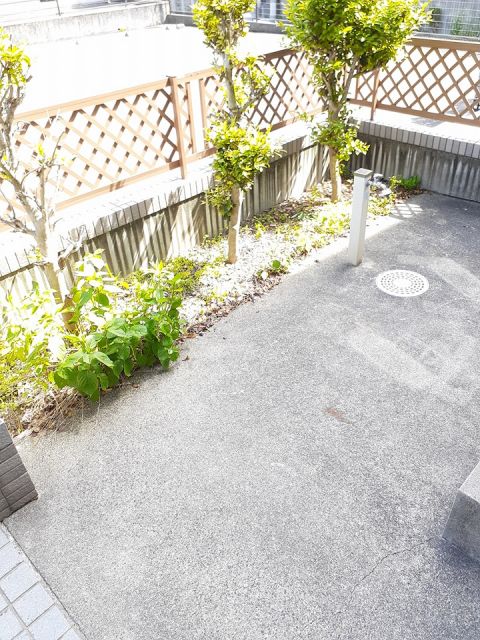 庭