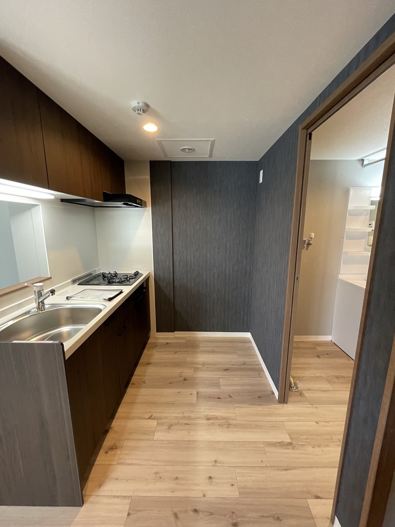 the residence 南平岸のキッチン写真