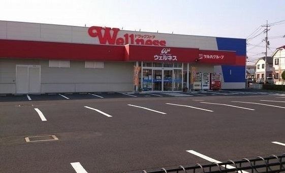 ドラックストア　ウェルネス斐川店（ドラッグストア）まで500m