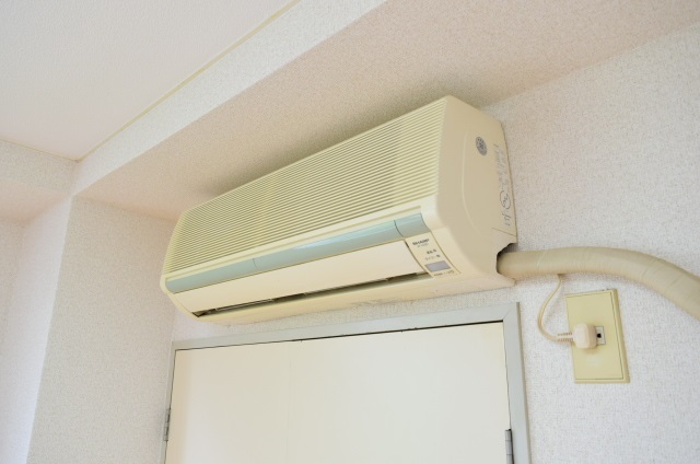 戸田ルーベンスのその他写真