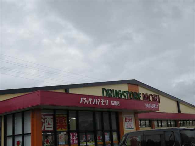 ドラックストア　（株）ヒライ／ドラッグストアモリ松橋店（ドラッグストア）まで3228m