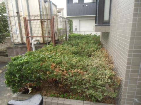 庭　庭（イメージ）
