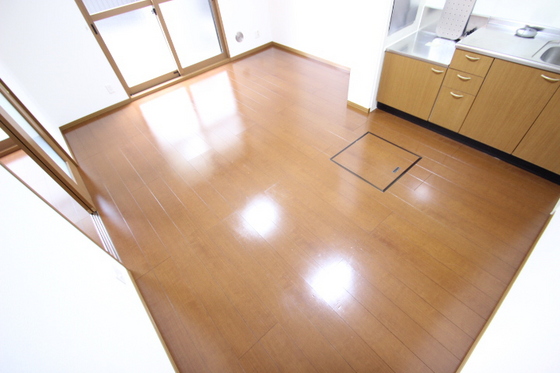 居室・リビング　※別部屋の写真です