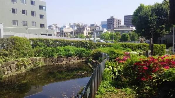 公園　中目黒南緑地公園（公園）まで846m