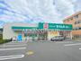 ドラックストア　ドラッグセイムス 横浜笠間店（ドラッグストア）まで341m