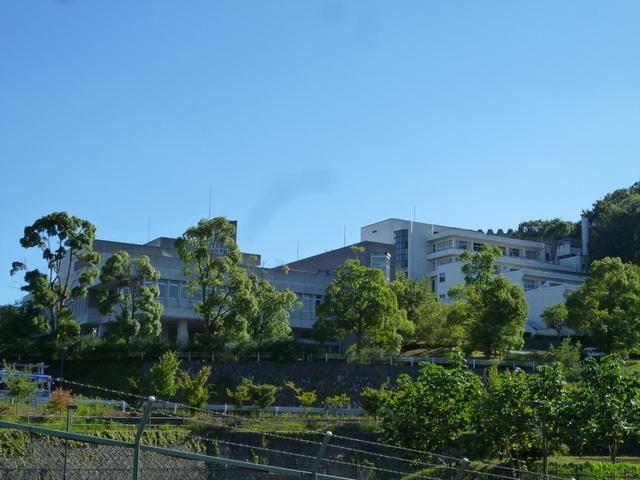 その他　多摩美術大学（その他）まで2400m