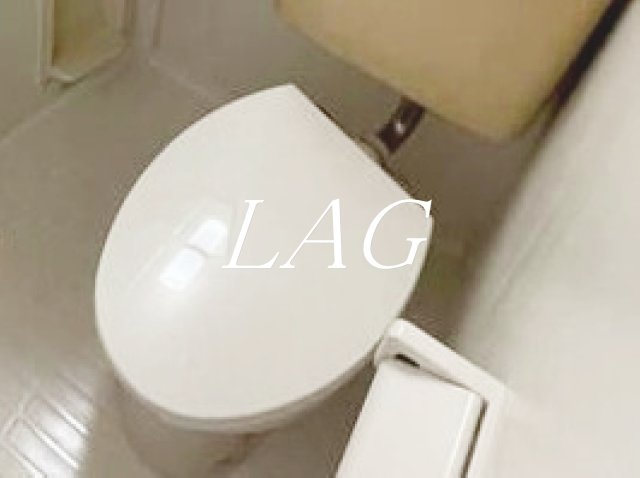トイレ　トイレです。