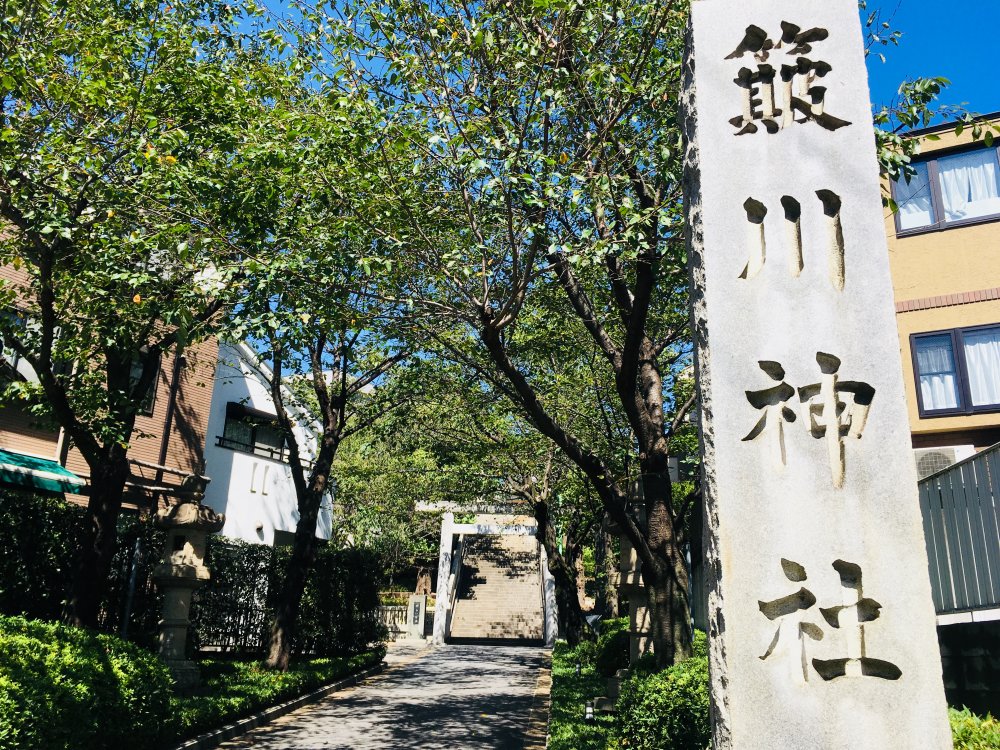 その他　簸川神社（その他）まで245m