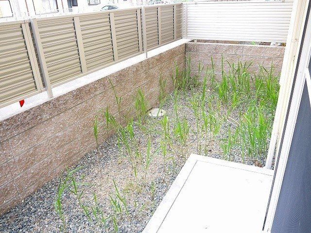 庭　お庭です