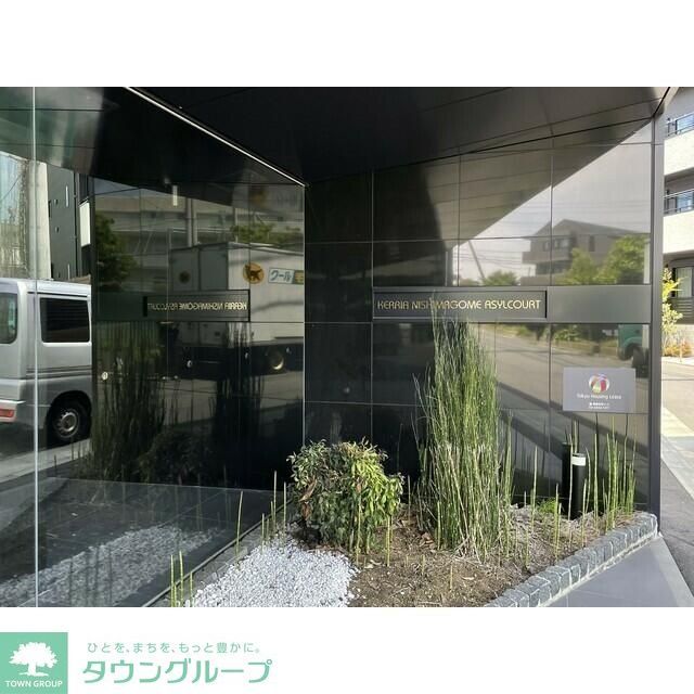 庭