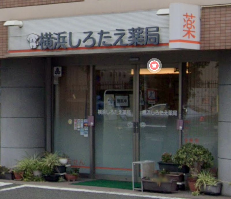 ドラックストア　横浜しろたえ薬局（ドラッグストア）まで158m