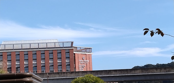 小学校　私立安田小学校（小学校）まで141m