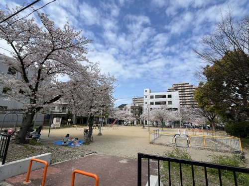 公園　桑津北公園（公園）まで911m