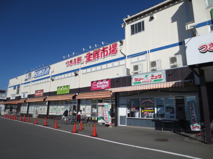 スーパー　生鮮市場（スーパー）まで446m