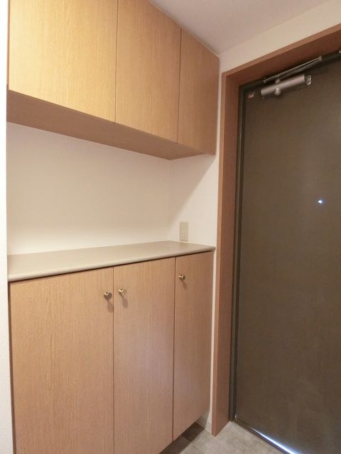 玄関　F1タイプ2020年8月撮影　同タイプB311号室の写真で…