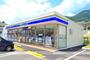その他　ローソン広島八木五丁目店（その他）まで979m
