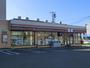 コンビニ　セブンイレブン札幌西野2条店（コンビニ）まで442m