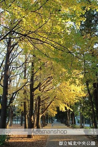 公園　城北中央公園（公園）まで500m