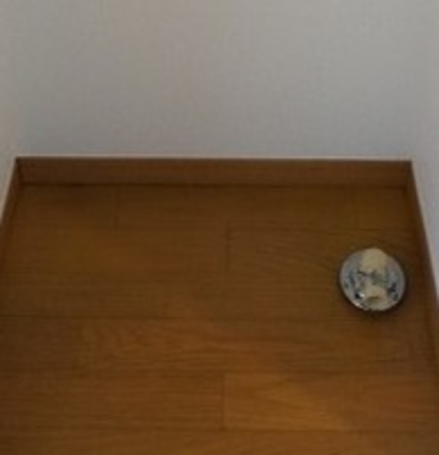 その他設備　室内洗濯機置場