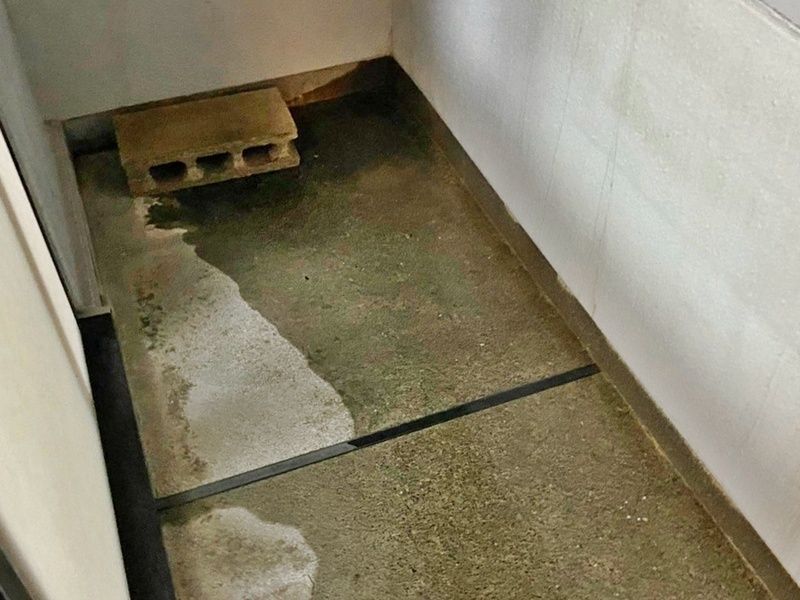 ＪＲ横浜線 淵野辺駅 バス乗車時間：5分 最寄りバス停で下車 徒歩2分 3階建 築41年の内装写真