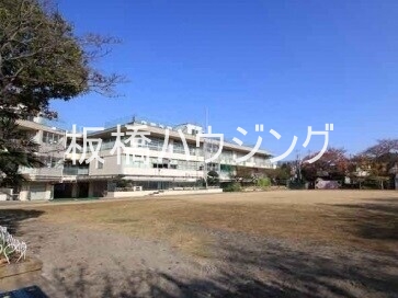 小学校　板橋区立弥生小学校（小学校）まで555m