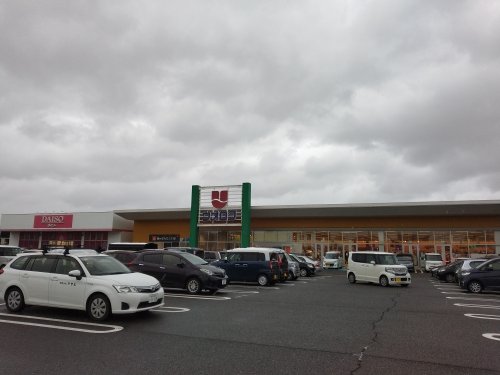 スーパー　ウオロク中野山店（スーパー）まで1351m